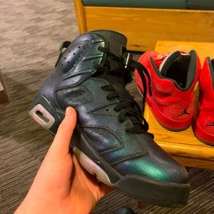 Chameleon Jordan 6’s